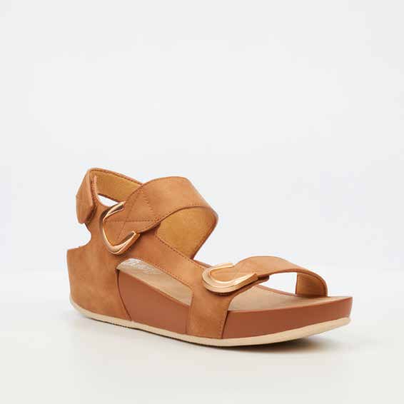 Delia 11