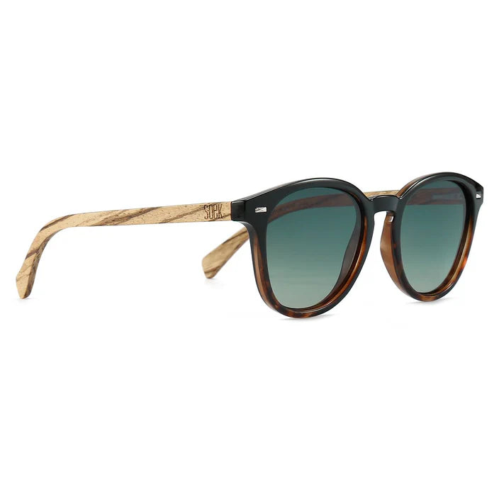 Taine Black Tort Sunglasses